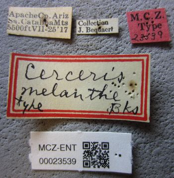 Media type: image;   Entomology 23539 Aspect: labels